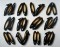 milroy shoes